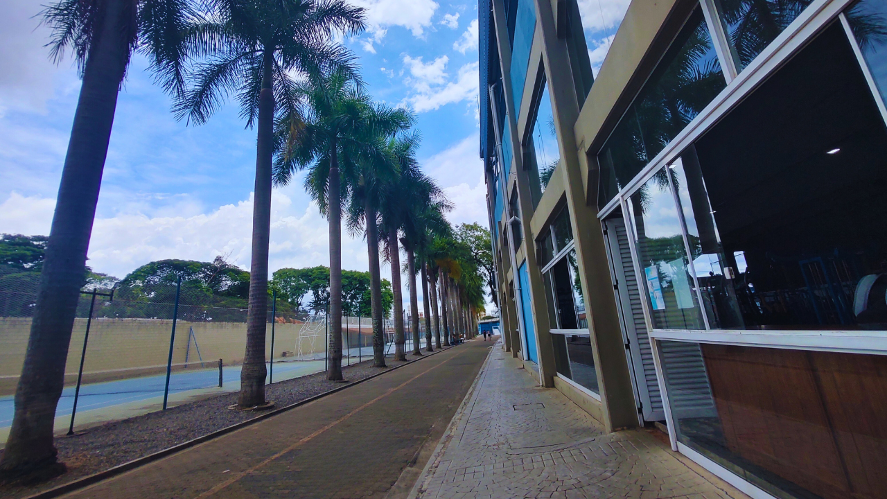 Imagem de fundo do clube ADPM Falcão Azul
